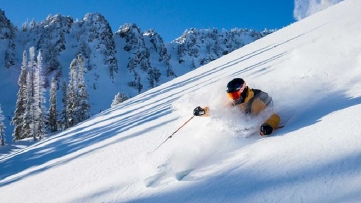 snow-basin-skier-powder-1